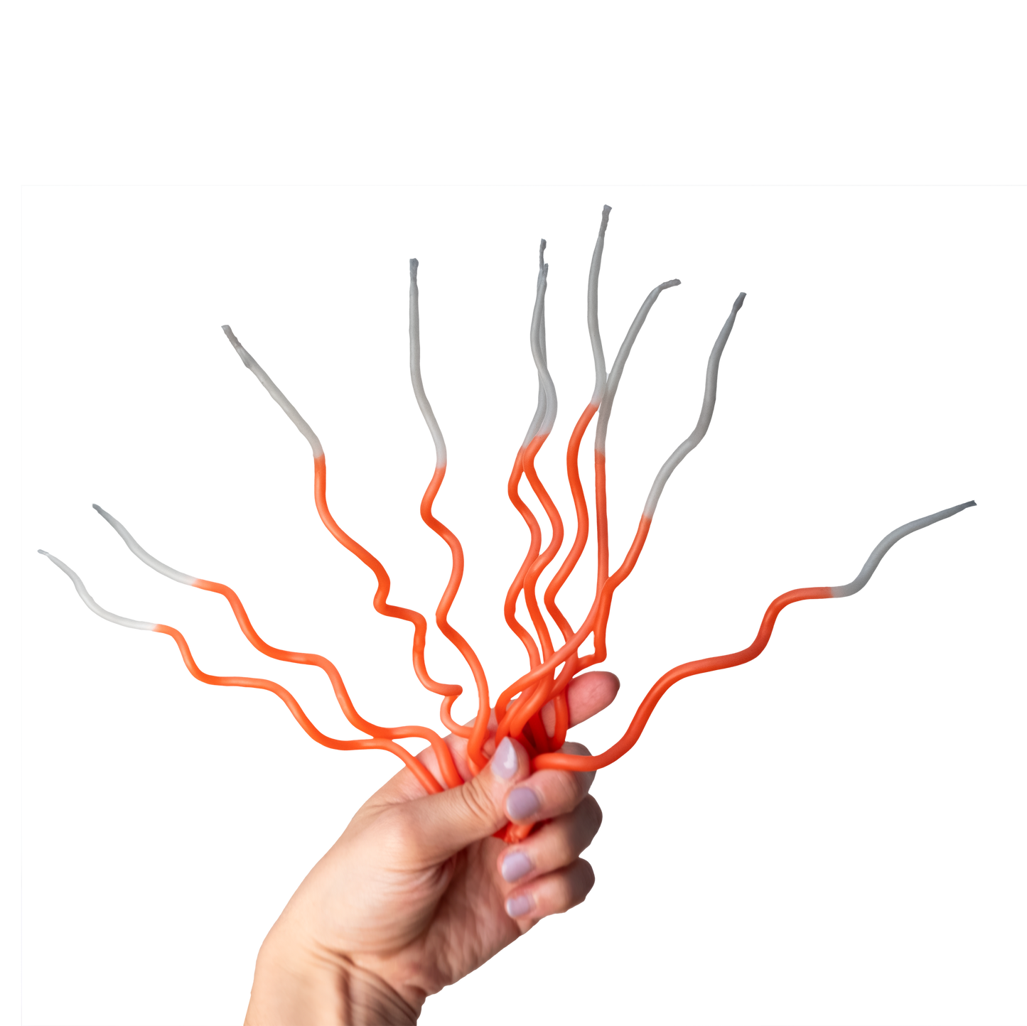 Candelina Volpe per 10